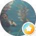 http://Slide%20Image